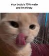 bd8cb68e0efbe9f04eb8ede61fbb4c7d.jpg