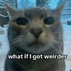 4bb62ad4822d4a927d607dd4e7e7dff4.jpg