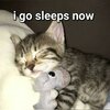14f7fdb646579f7e7fff25f6e3403bcb.jpg