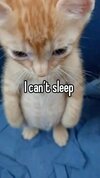 4a3b1441fe6a2828970cb4b47271ece0.jpg