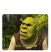 Shrek-Wait-a-Minute-meme-8.png