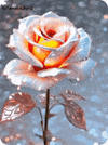 1000082105.gif