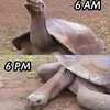 IMG_4806.jpeg