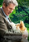 Hachiko_.jpeg