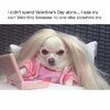 funny-valentines-day-memes-Funny-Valentine-Memes-To-sarcastic-for-a-Good-Laugh-valentines-memes.jpg