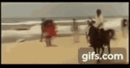 1773842350250.gif