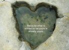 IMG_4381.jpeg