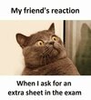 Me After Exam Results – 5 Funny Exam Memes to Reduce Some Stress.jpeg