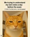 a-day-before-exam-funny-memes-v0-m7vkz6a2zeyf1.jpeg