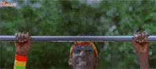1000336599.gif