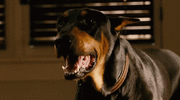 3d1cb2686ba1f600981d4156d7c26d2f.gif