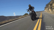 263342.gif