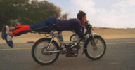 263665.gif