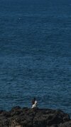 3b597835-a6dd-4c9d-a8f2-da994e9a6908.jpeg