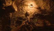 Tumbbad_trailer_134172_730x419-m-688971358-1543908606766.jpg