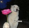 fb3be91872d431faf3a346a5bfc83fde.jpg