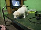 IMG_20220616_185625.jpg