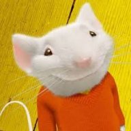 stuartLittle