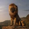 lionking