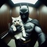 Batman13