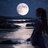 MoonFlare