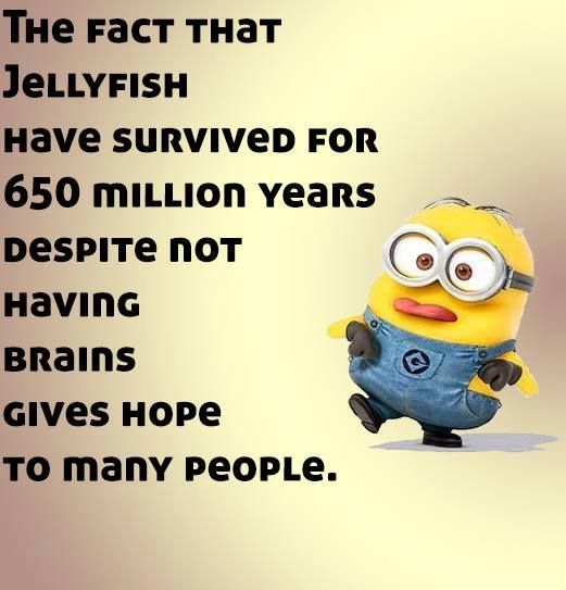 2e0b2eae97ed2e1224715c5834c84c3c.jpg