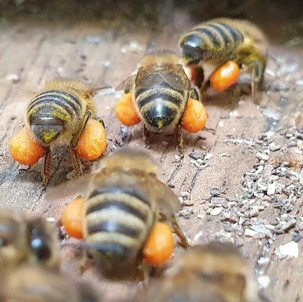 main-qimg-2ab7d659a49ad24fa152e57fd205382f